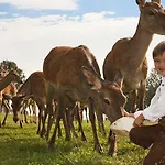 Bauer & Wirt Langthaler Farm stay *