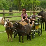 Farm stay Bauer & Wirt Langthaler Emmersdorf an der Donau
