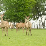 Farm stay Bauer & Wirt Langthaler Emmersdorf an der Donau
