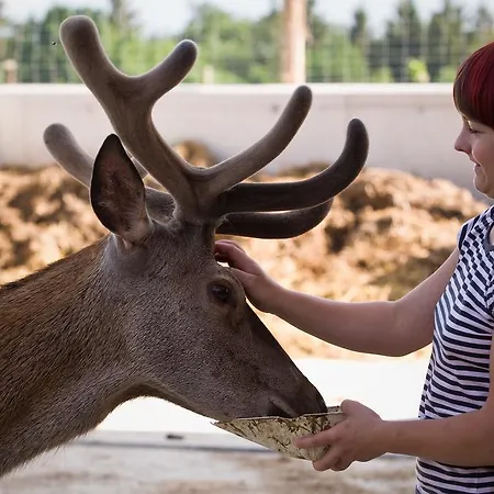 Gospodarstwo agroturystyczne Bauer & Wirt Langthaler
