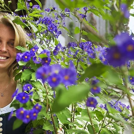 Bauer & Wirt Langthaler Emmersdorf an der Donau