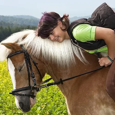 Bauer & Wirt Langthaler