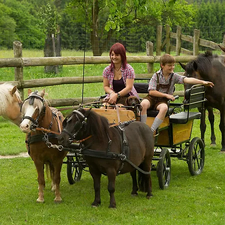 Gospodarstwo agroturystyczne Bauer & Wirt Langthaler Emmersdorf an der Donau