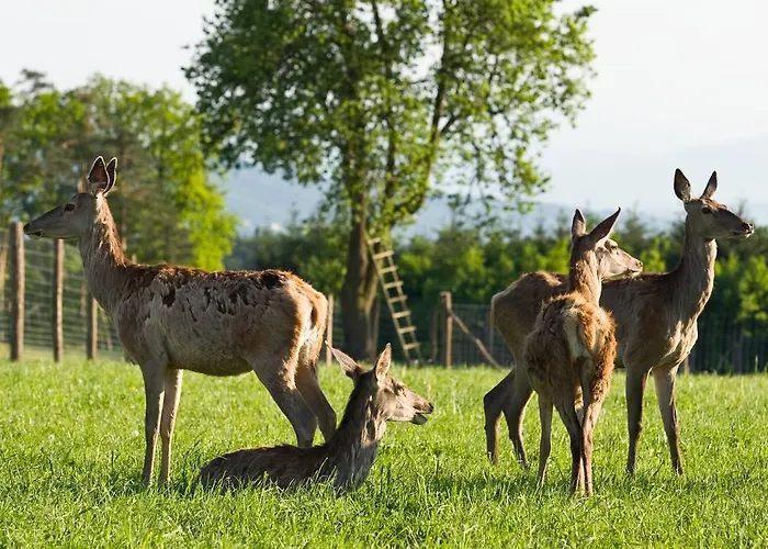 宝尔沃特农场假期酒店 杜河畔的埃默斯多夫