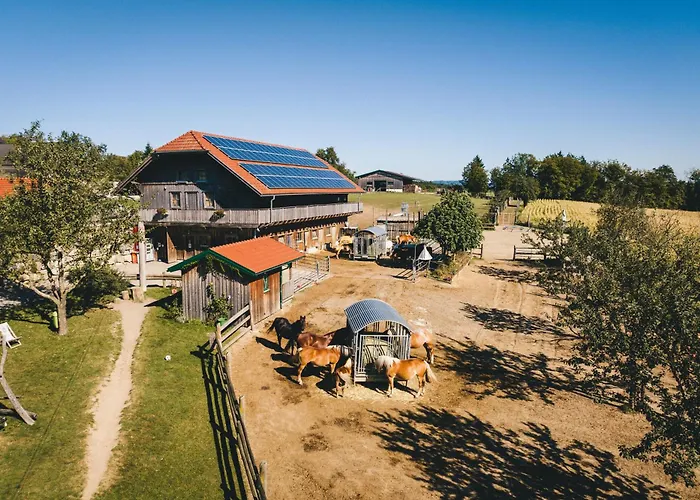 Farm stay Bauer & Wirt Langthaler *