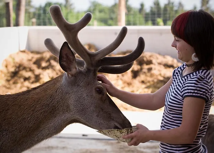 Farm stay Bauer & Wirt Langthaler