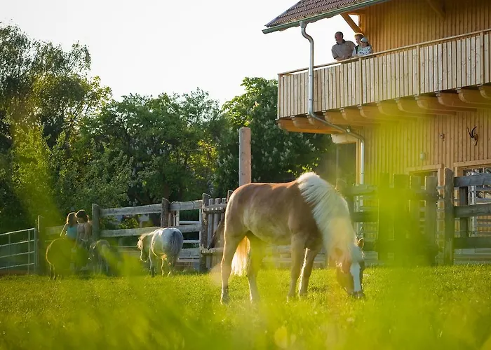 农家乐 宝尔沃特农场假期酒店 *