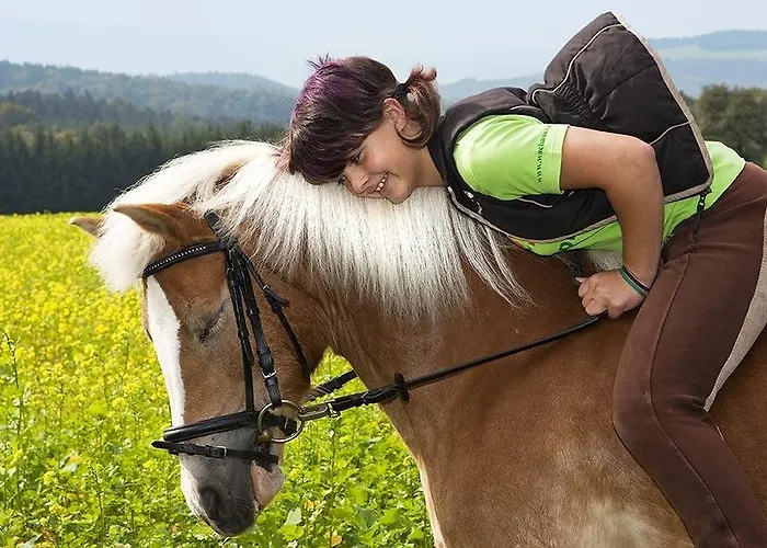 Bauer & Wirt Langthaler