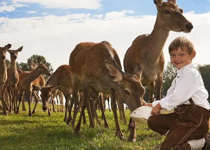 宝尔沃特农场假期酒店 农家乐 *