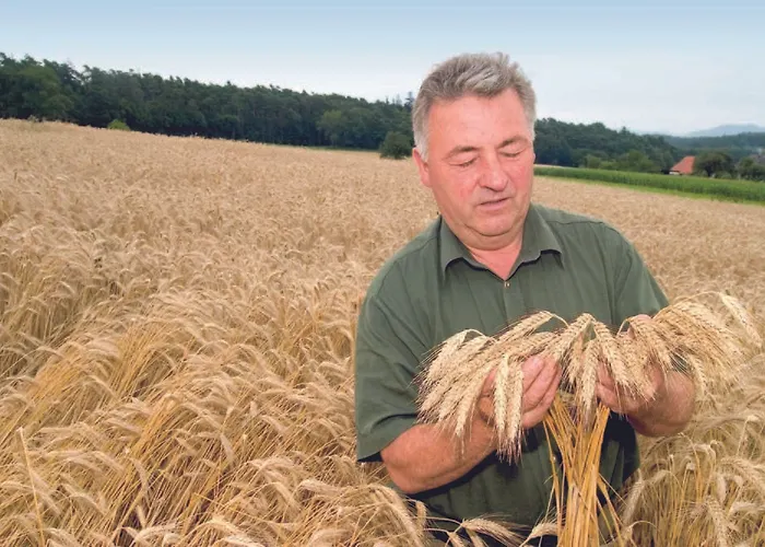 农家乐 宝尔沃特农场假期酒店 杜河畔的埃默斯多夫