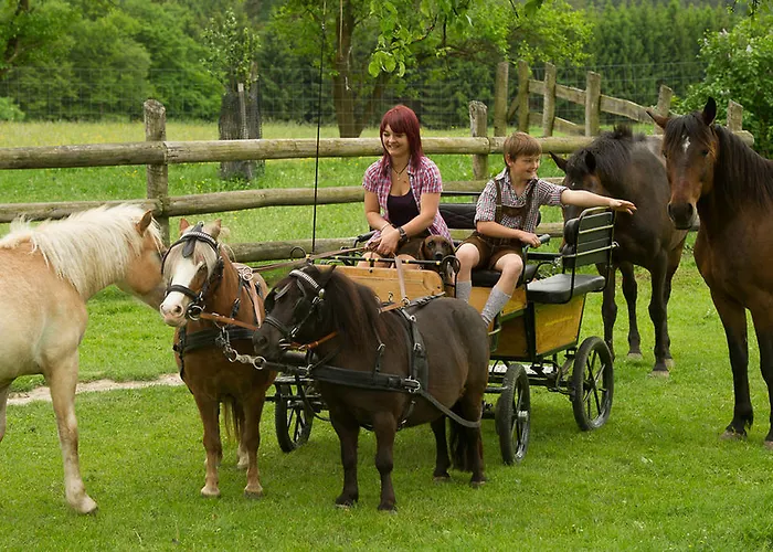 Farm stay Bauer & Wirt Langthaler Emmersdorf an der Donau