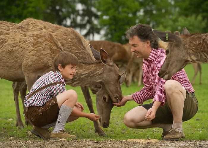 宝尔沃特农场假期酒店 杜河畔的埃默斯多夫