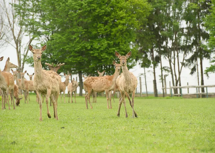 Farm stay Bauer & Wirt Langthaler Emmersdorf an der Donau